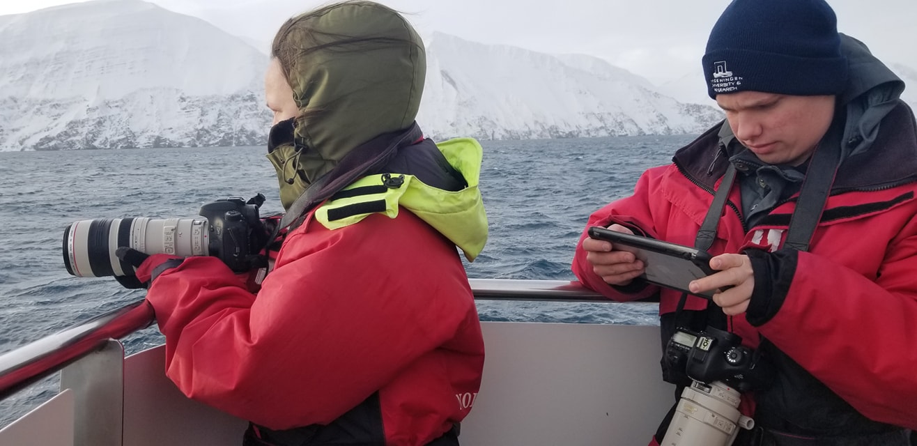 Looking for whales in Skjálfandi Bay