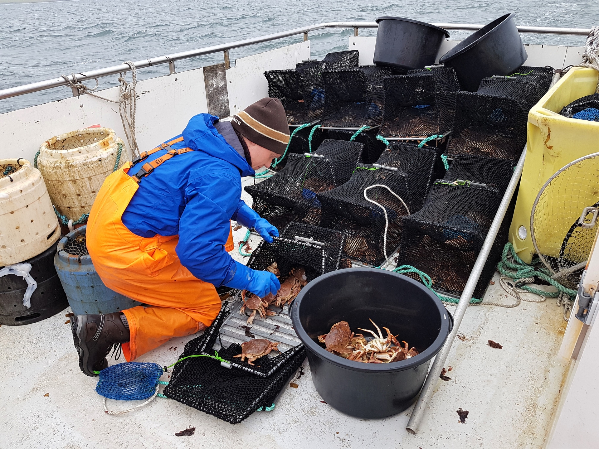Rock crab (Cancer irroratus) fisheries on our research vessel Sæmundur fróði RE