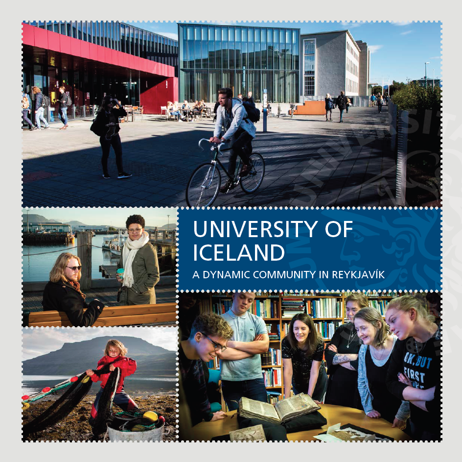 University of Iceland 