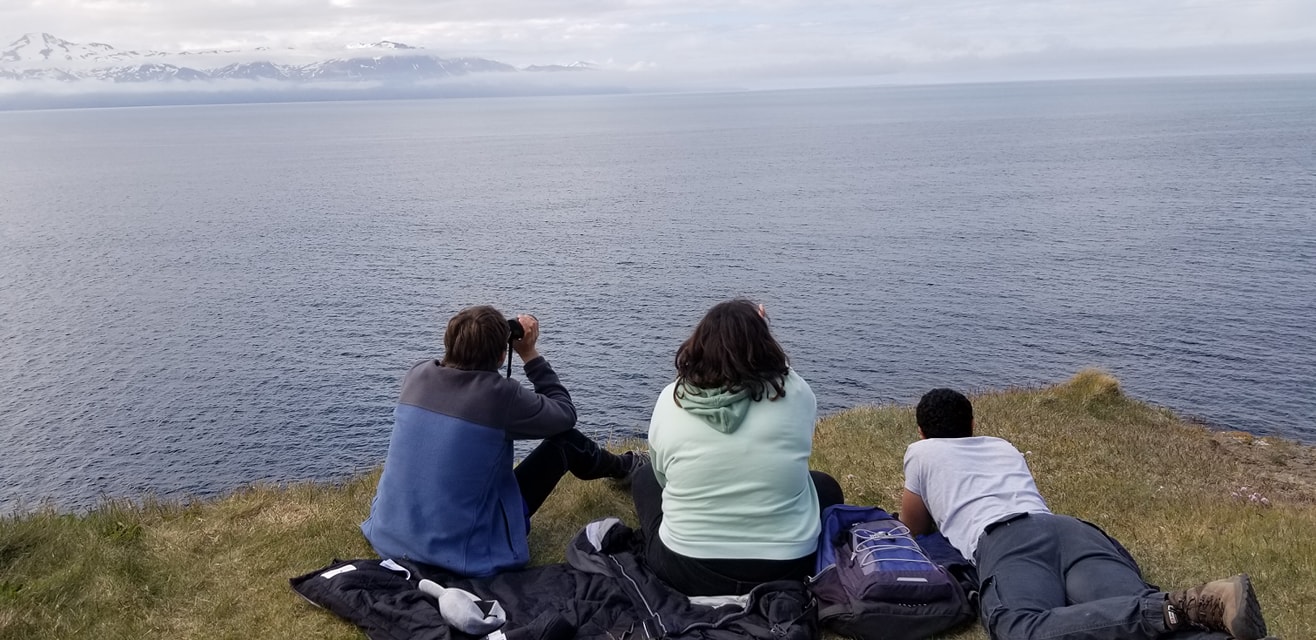 Looking for whales in Skjálfandi Bay