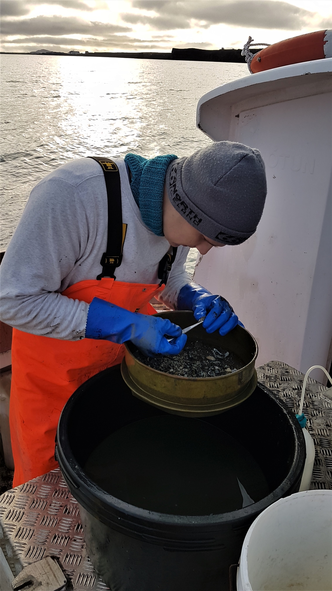 Sieving samples in our research vessel Sæmundur fróði RE