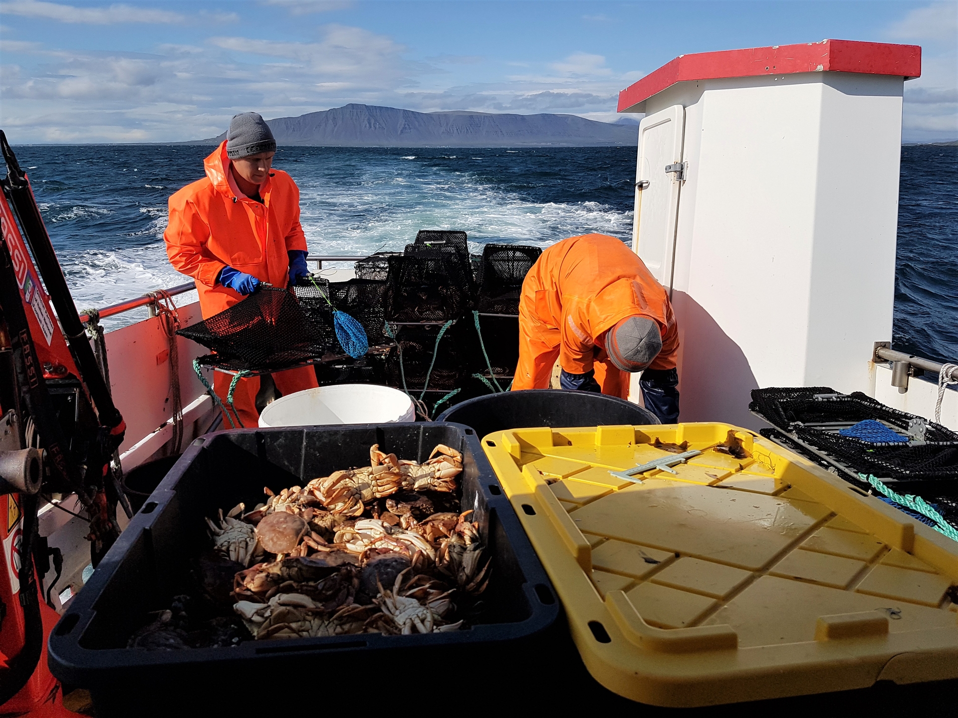 Rock crab (Cancer irroratus) fisheries on our research vessel Sæmundur fróði RE