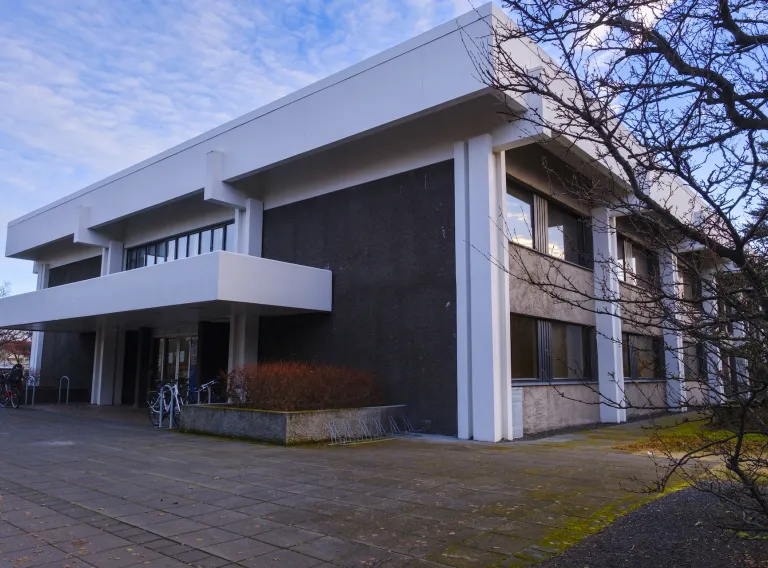 University of Iceland, Stapi