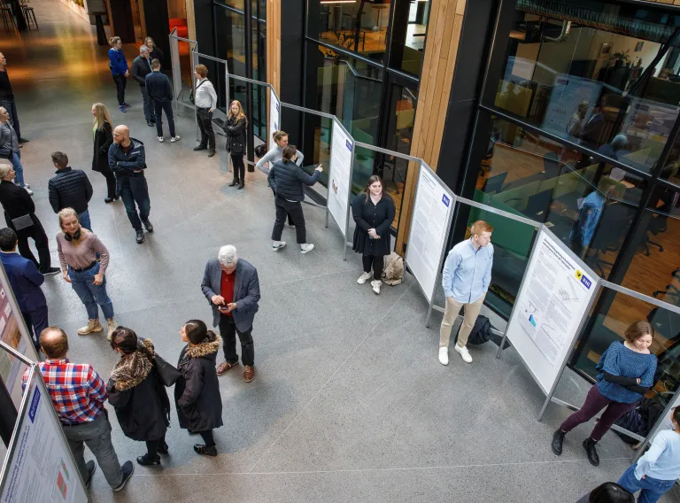 Students present projects on posters.