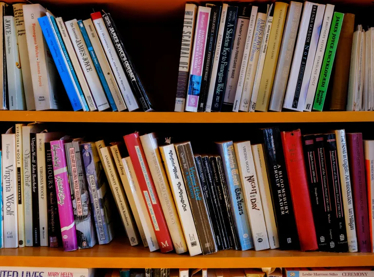 Books on two bookshelf