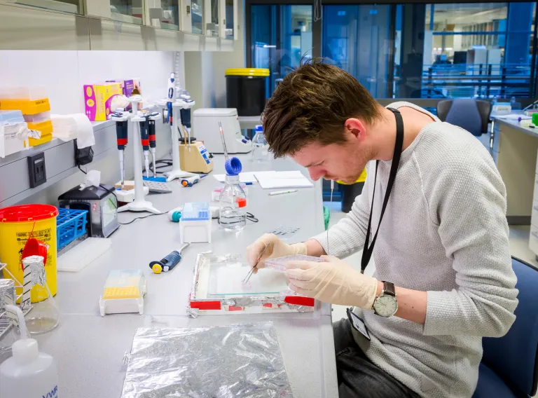 Student in a biochemistry lab. 