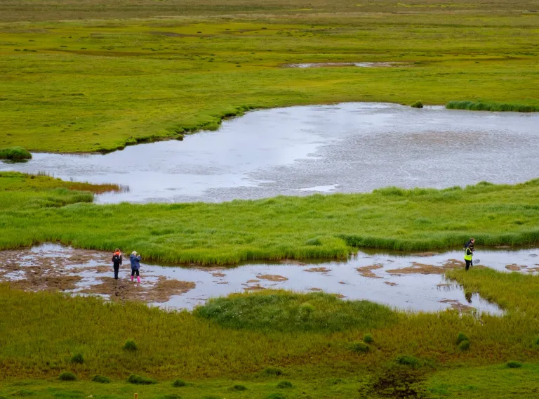 Green grass and small lake. People looking at lake. 