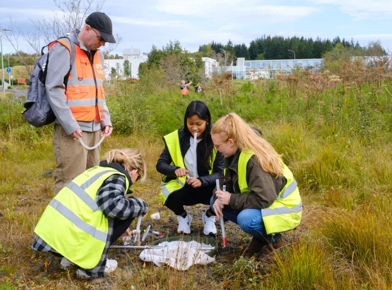 Students taking samples of bugs for research. 
