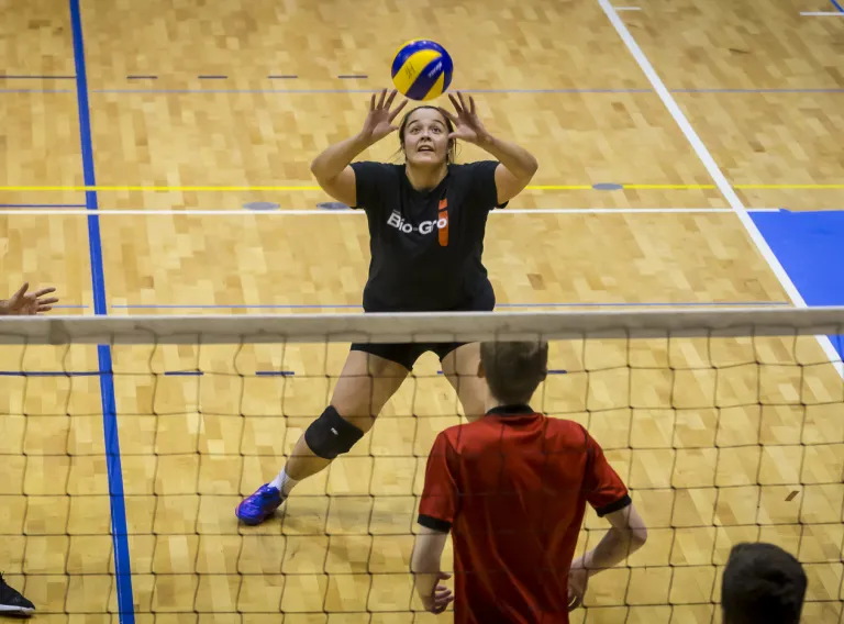 people playing volleyball