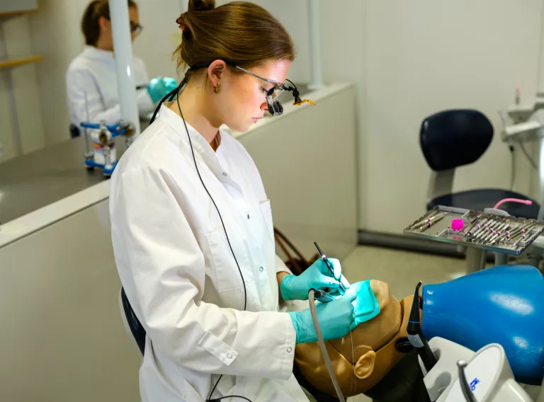 Student at the Faculty of Odontology, University of Iceland