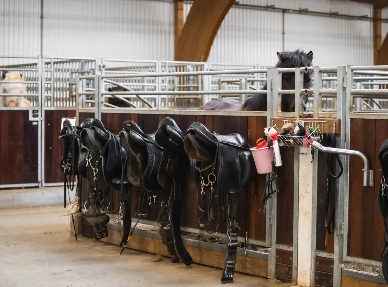 Several horses stand side by side in indoor stable stalls, secured to metal railings with bridles and lead ropes, with riding equipment hung nearby.