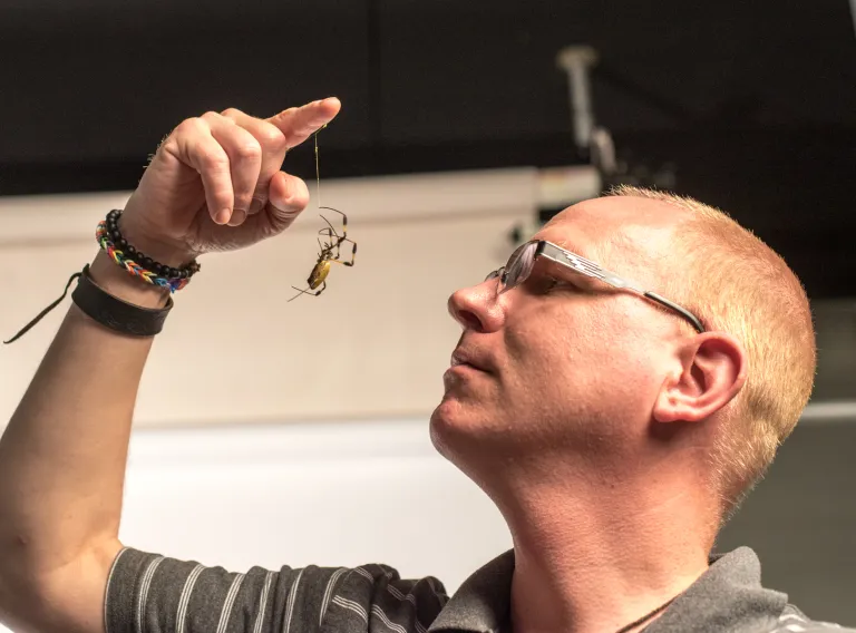 Ingi Agnarsson with nephilia spider