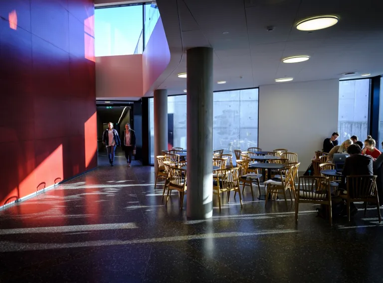 Veröld, House of Vigdís