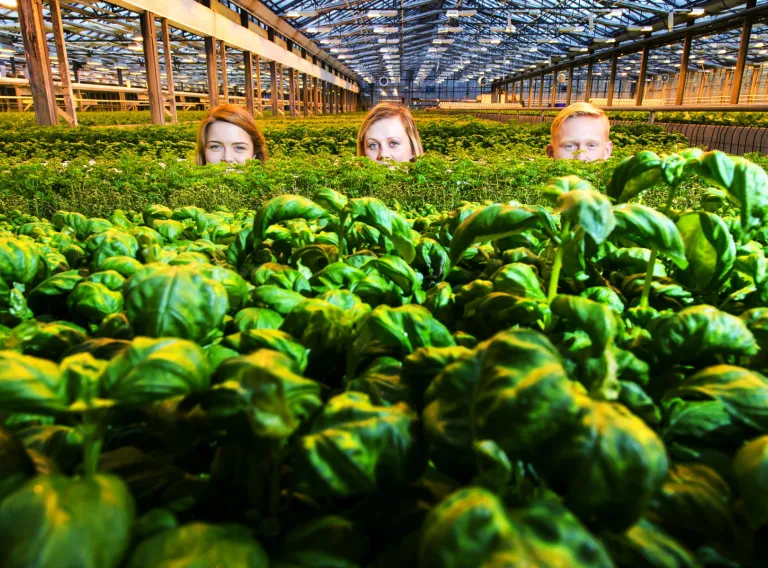 Students in Nutrition, University of Iceland