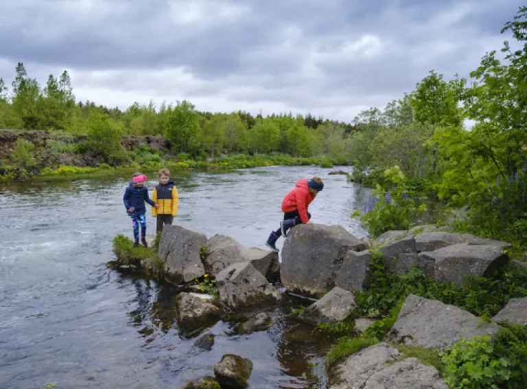 Departure at 6 pm from Rafstöðin in Elliðaárdal. Bugwatching in Elliðárdal - Hiking trips with Science tips