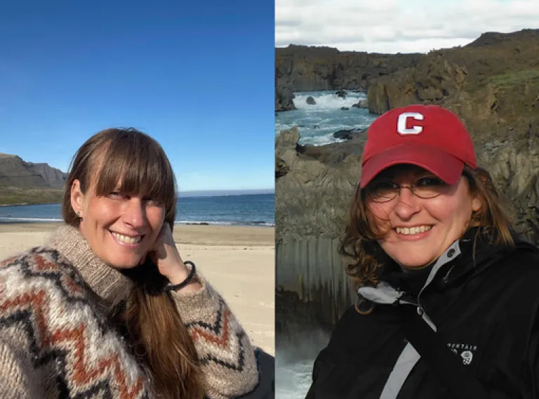 A Transdisciplinary Study of Whale Use in Iceland from Landnám through Late Middle Ages