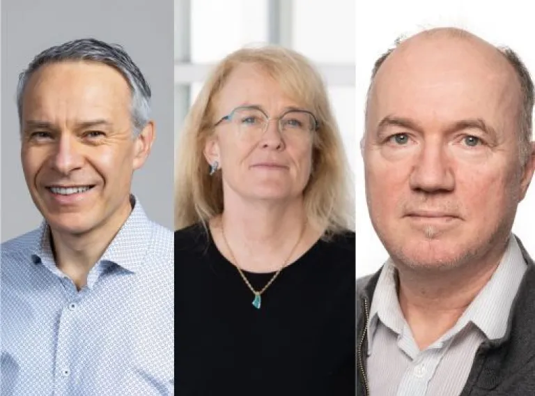 University–Industry Collaboration: A Source of Knowledge and Driver of Innovation