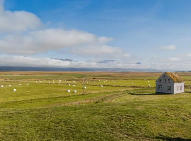 Introduction to Terraforming LIFE