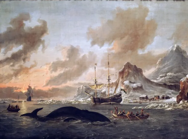 Whales and Humans:  Past Entanglements and Current Relations