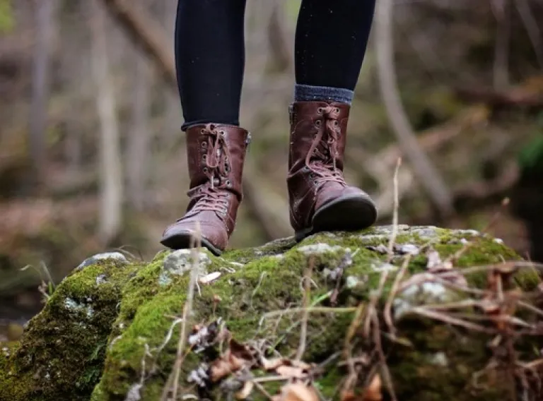 Iceland´s Ecological Footprint - Symposium
