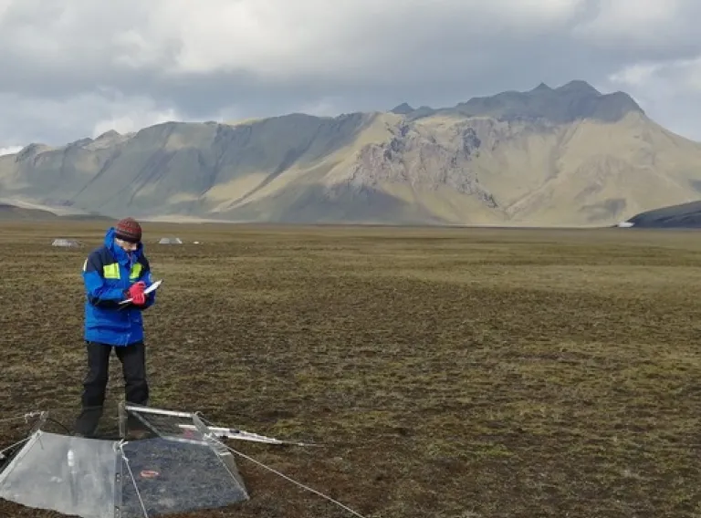 Open lecture in honor of Ingibjörg Svala Jónsdóttir, Professor Emerita