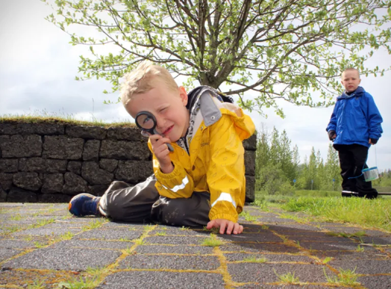 Hiking trips with science tips: Bugwatching in Elliðaárdalur