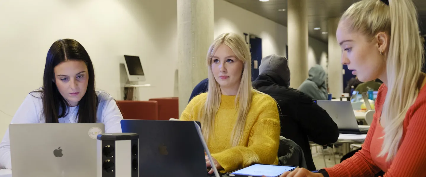 Students at the University of Iceland