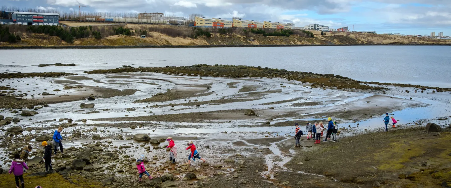 Children watching birds at shore