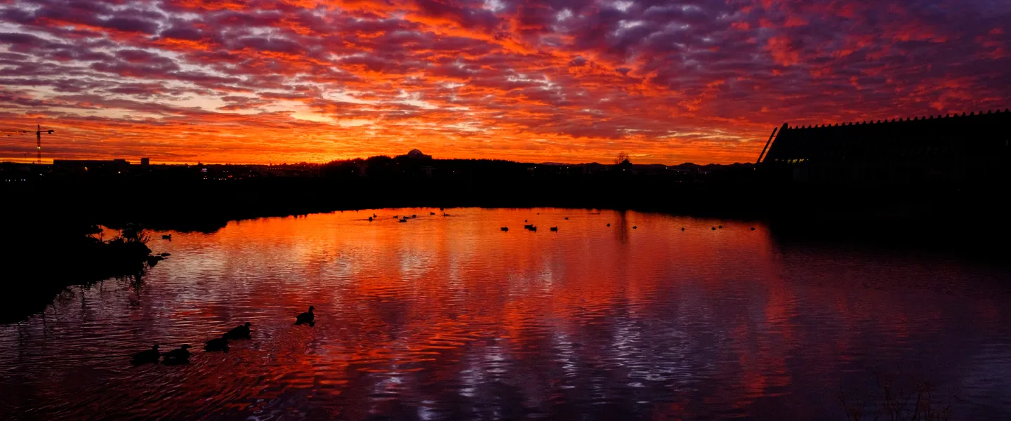 Sunrise in Vatnsmýri