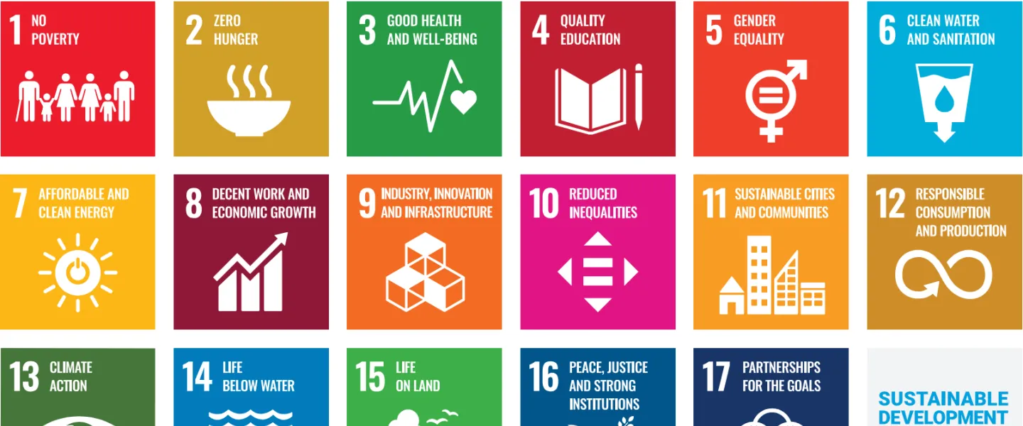 United Nations Sustainable Development goals icons