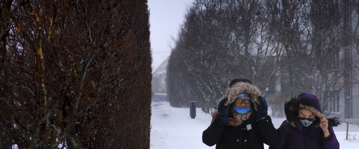 Winter on campus, University of Iceland