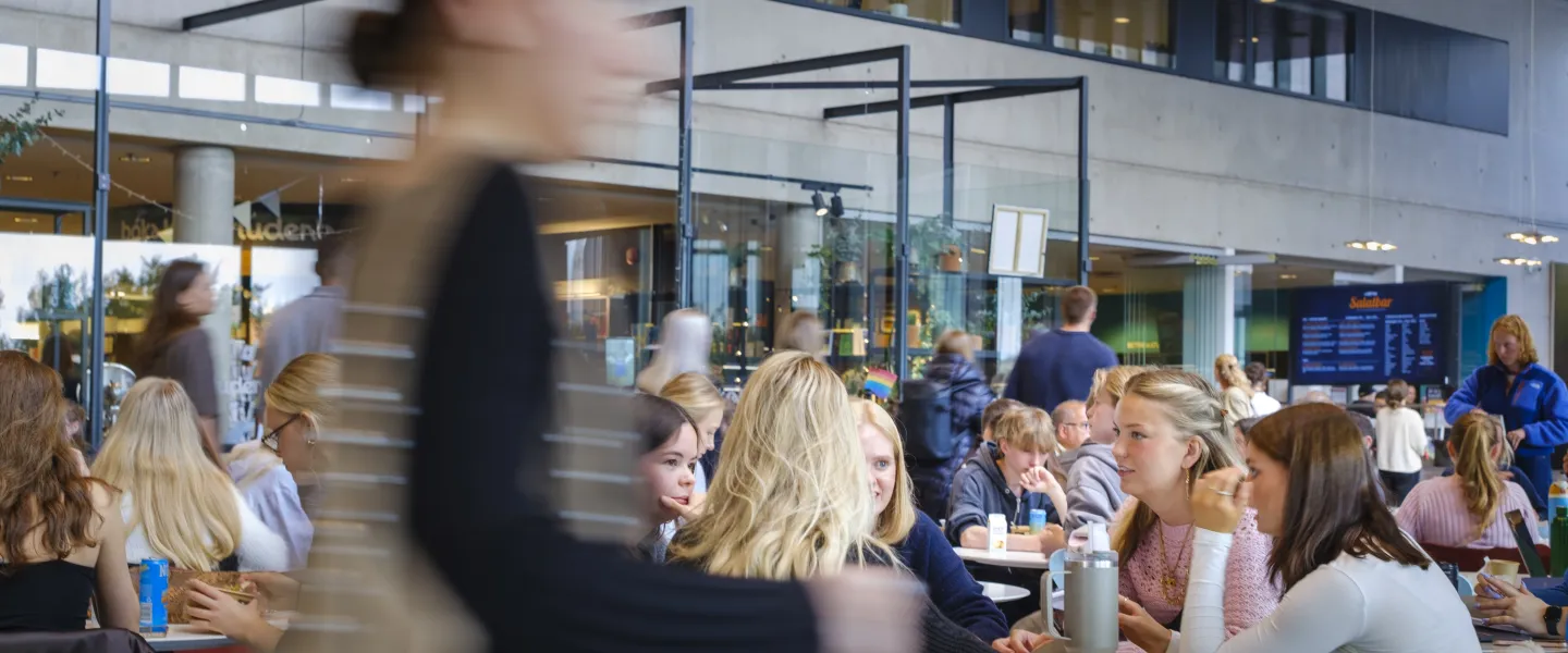 Students at the University Centre