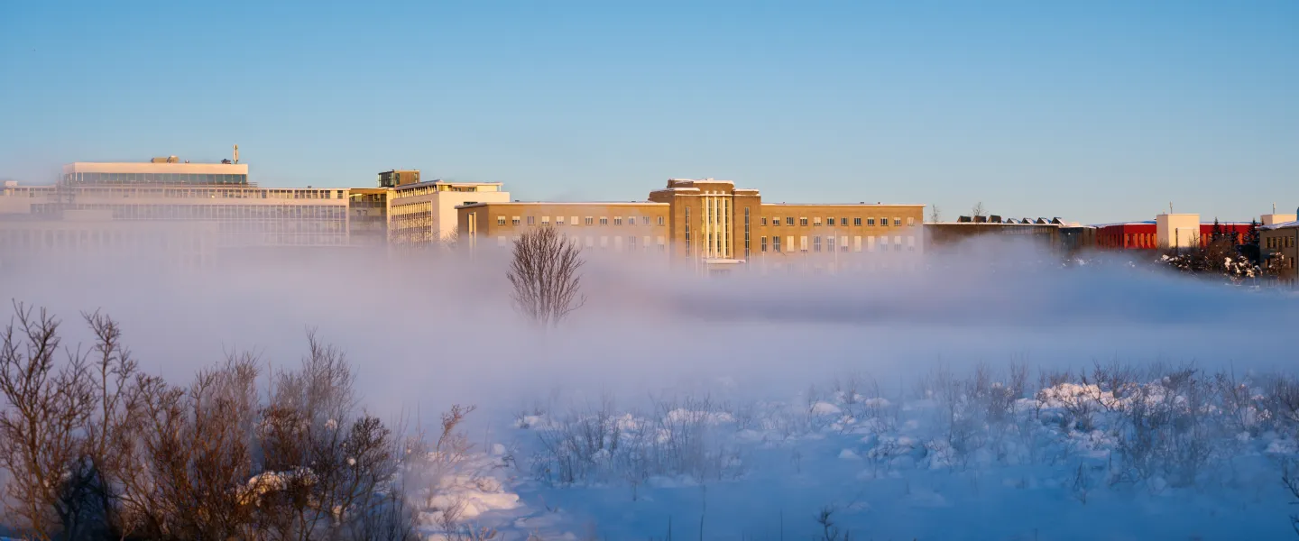 Campus - vetur - ísþoka