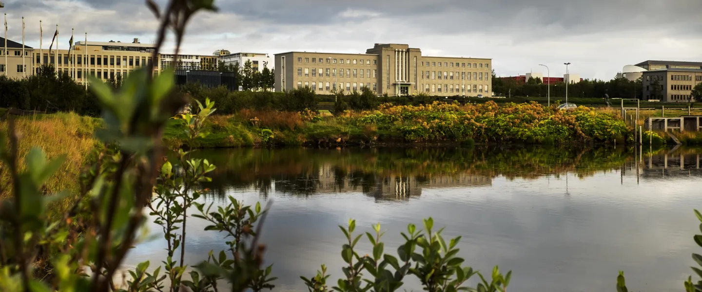 University of Iceland, Main building