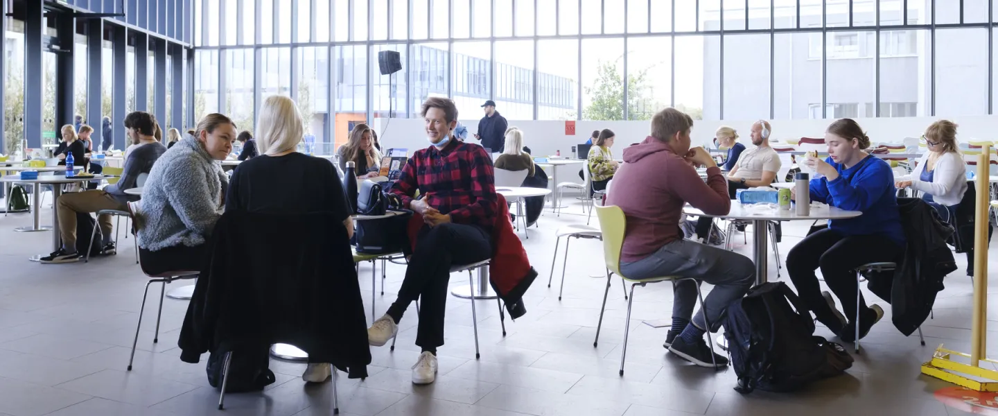 People at University centre, University of Iceland