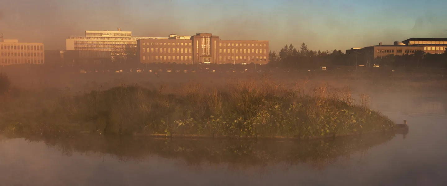 Fog in Vatnsmýri. University of Iceland main building and nearby buildings in the background