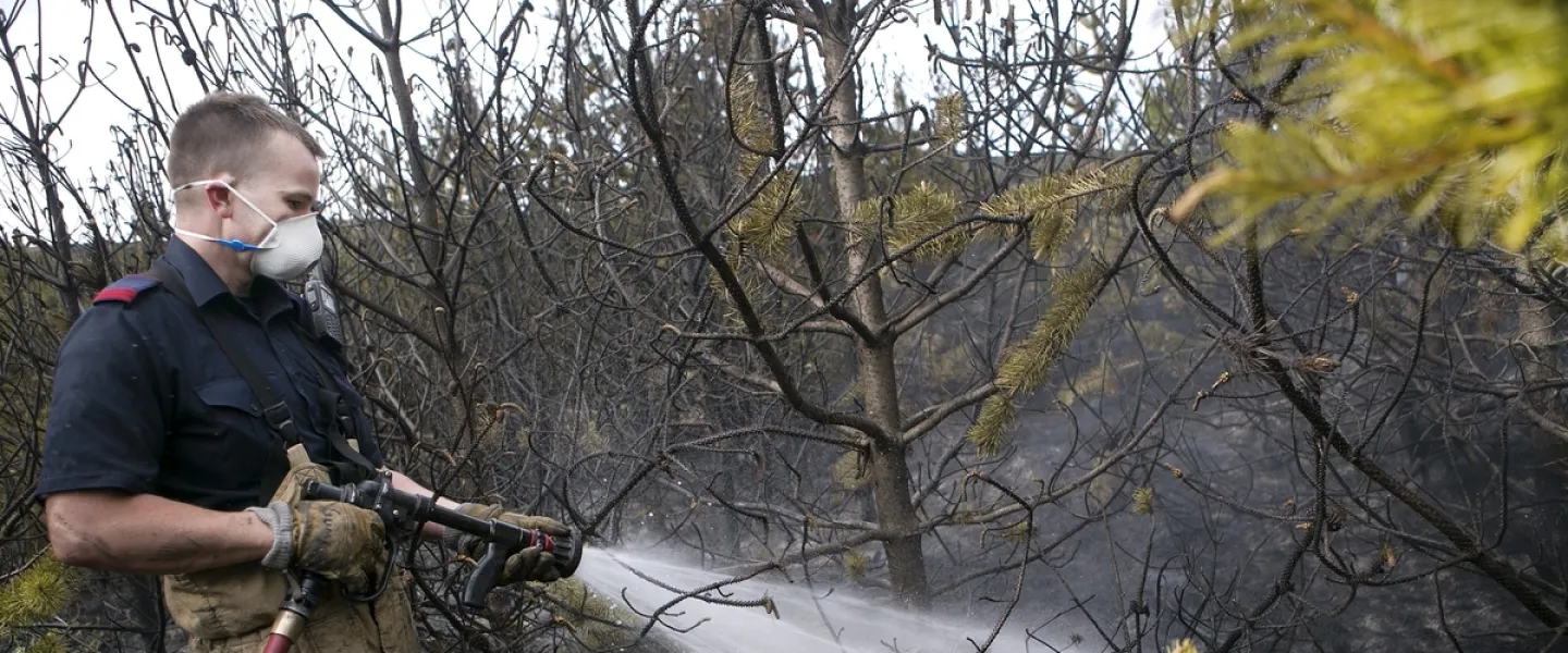 Firefighter