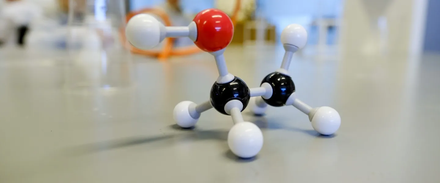 Chemistry studies at University of youth