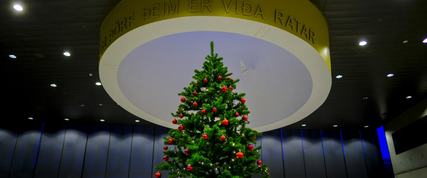 Christmas tree at University centre