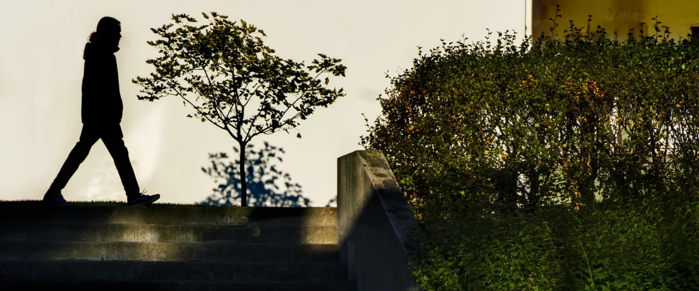 Silhouette of a person walking outside