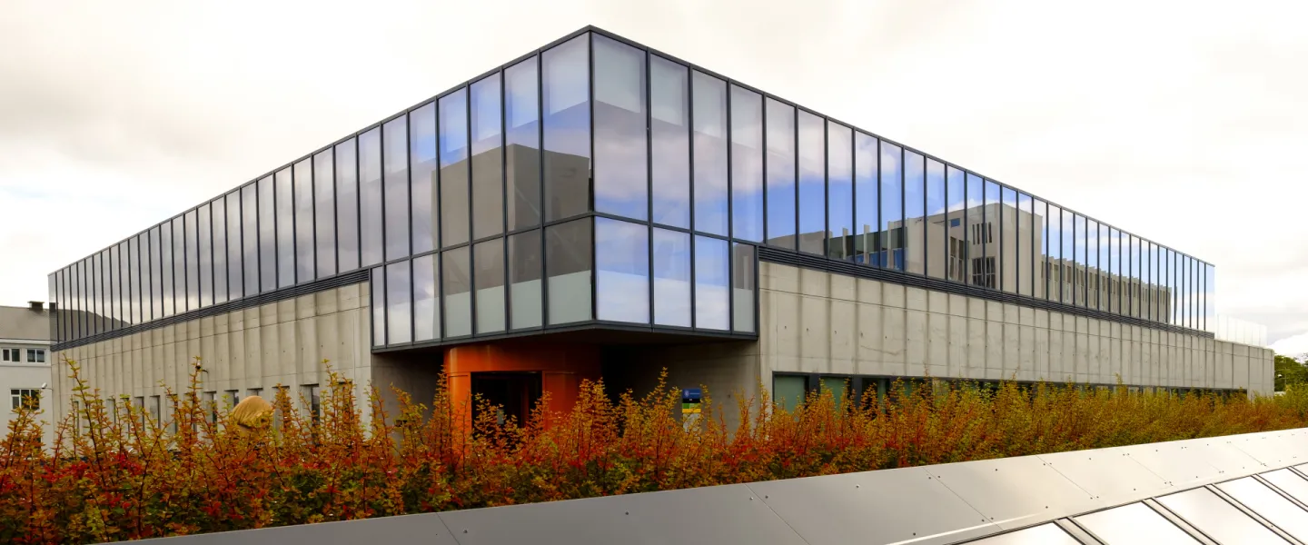 Gimli, University of Iceland