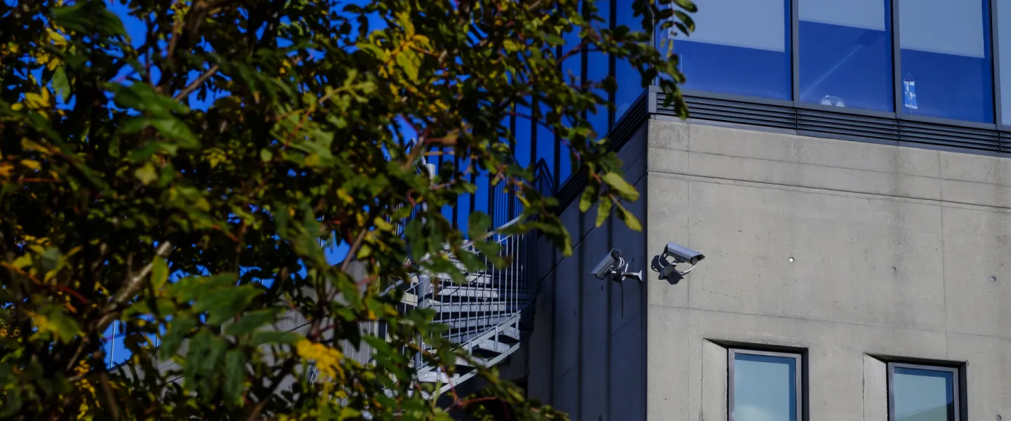 Gimli, and tree in the summertime