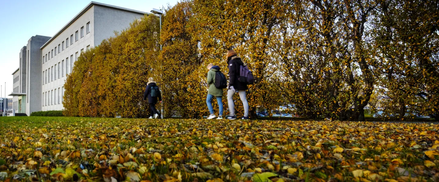 People walking towards University of Iceland Main Building in the fall