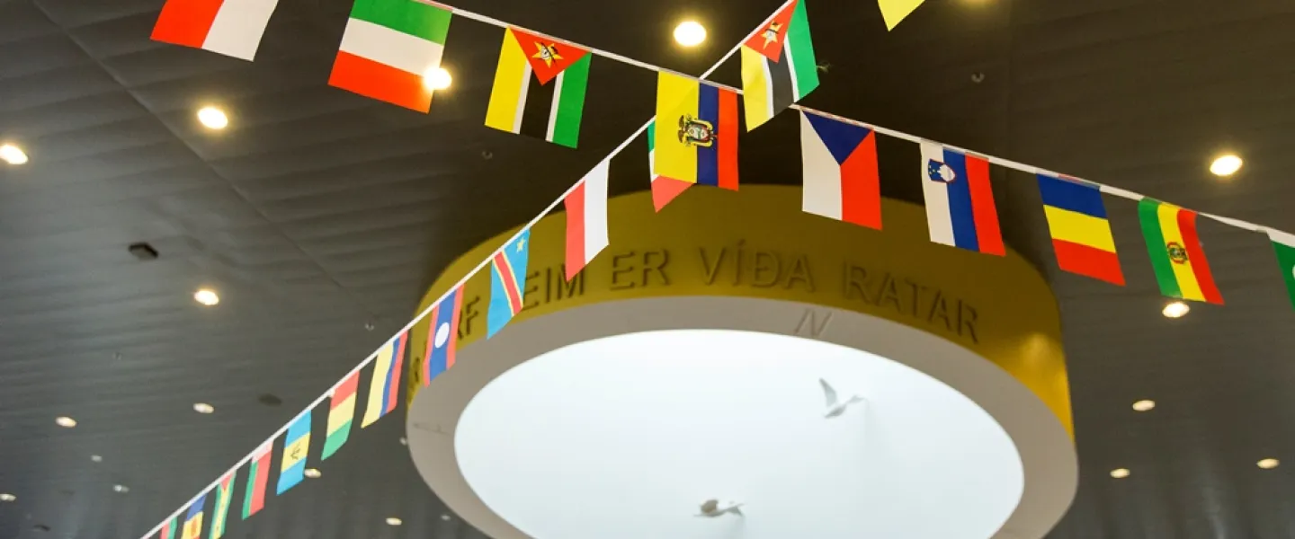 Flags in University centre, University of Iceland