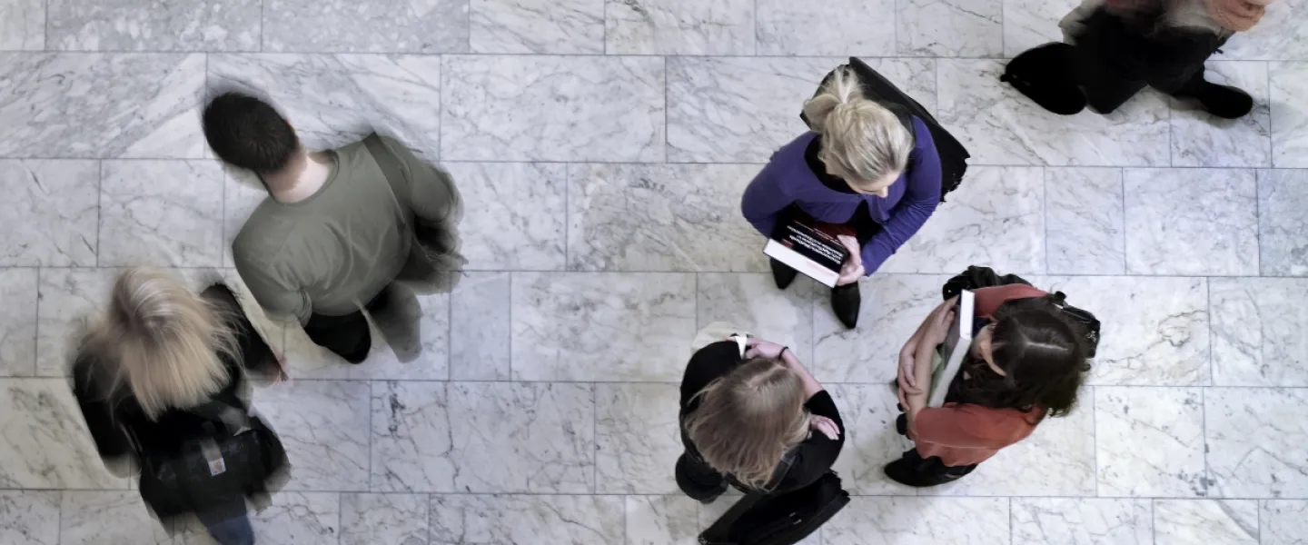 People in Oddi, seen from above
