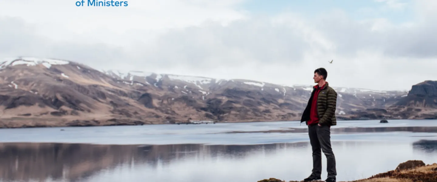 Nordic Welfare Watch