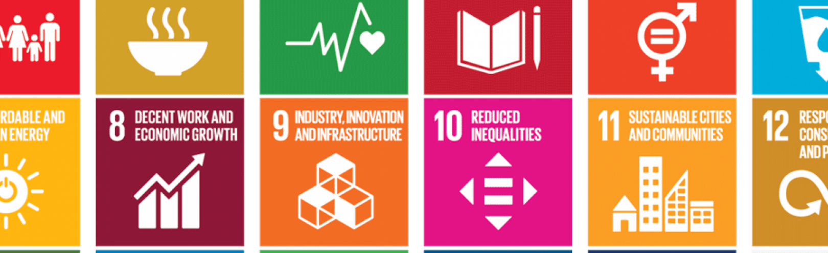 Ample opportunity for UI in the UN Sustainable Development Goals  - Available at University of Iceland