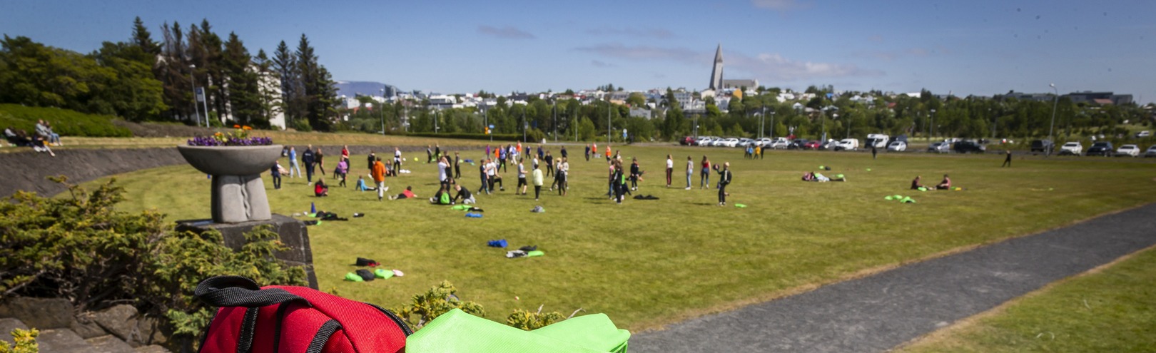 University of Youth back on track - Available at University of Iceland