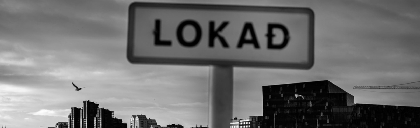 What is the impact of COVID-19 on gender equality? - Available at University of Iceland