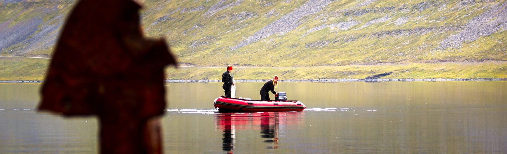 Investigating the behaviour of juvenile cod - Available at University of Iceland